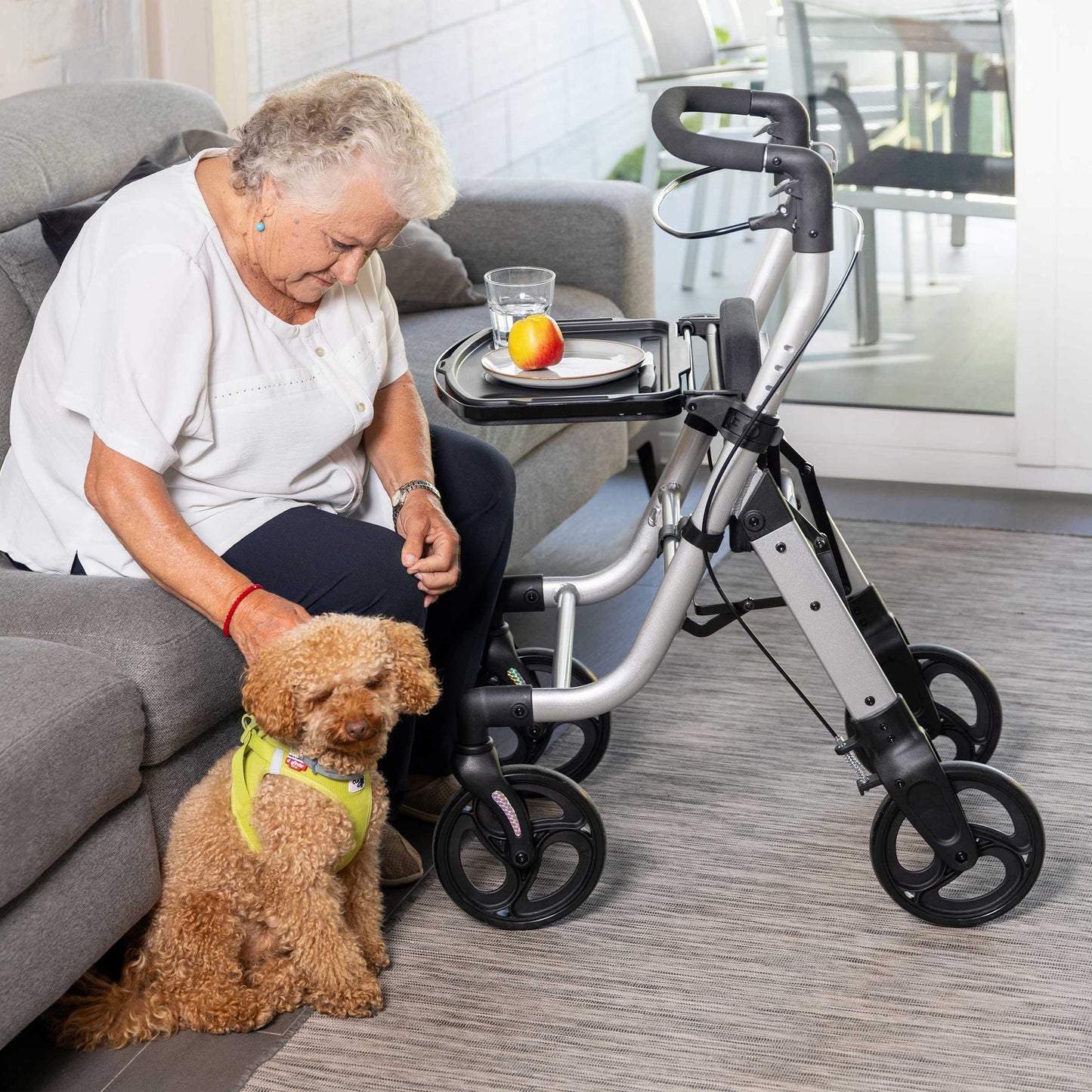 Lett Walk Rollator/Walking Trolley